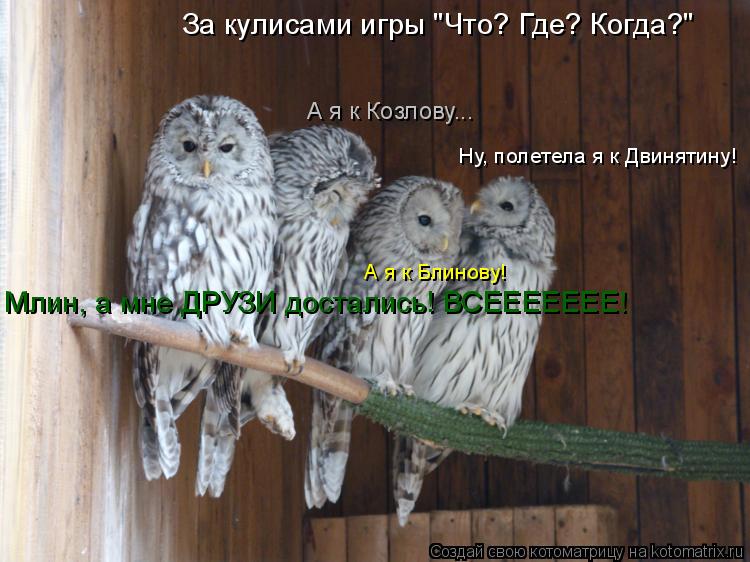 Котоматрица: Ну, полетела я к Двинятину! А я к Блинову! А я к Козлову... Млин, а мне ДРУЗИ достались! ВСЕЕЕЕЕЕЕ! За кулисами игры "Что? Где? Когда?"
