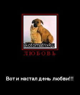 Котоматрица: Л Ю Б О В Ь 