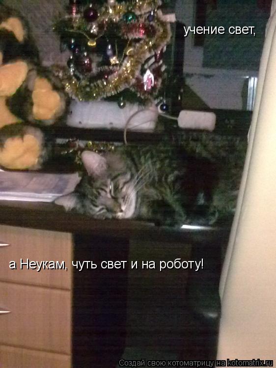 учение свет, а Неукам, чуть свет и на роботу!... Котоматрица: учение свет, а Неукам, чуть свет и на роботу!