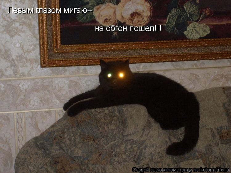 Котоматрица: Левым глазом мигаю-- на обгон пошёл!!!