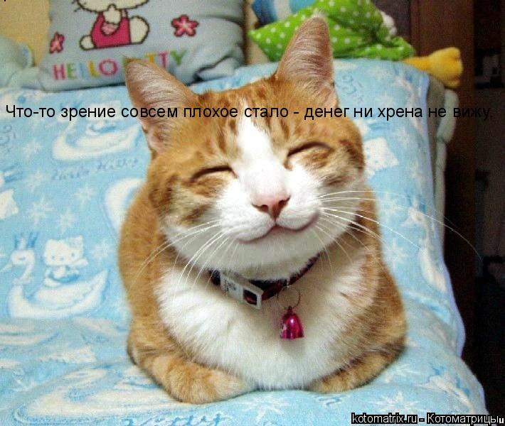Что-то зрение совсем плохое стало - денег ни хрена не вижу.... Котоматрица: Что-то зрение совсем плохое стало - денег ни хрена не вижу.