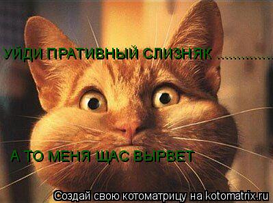 УЙДИ ПРАТИВНЫЙ СЛИЗНЯК .................... А ТО МЕНЯ ЩАС ВЫРВЕТ... Котоматрица: УЙДИ ПРАТИВНЫЙ СЛИЗНЯК .................... А ТО МЕНЯ ЩАС ВЫРВЕТ