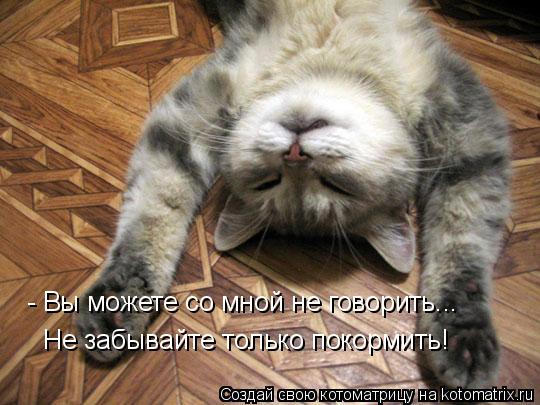 Котоматрица: - Вы можете со мной не говорить... Не забывайте только покормить!