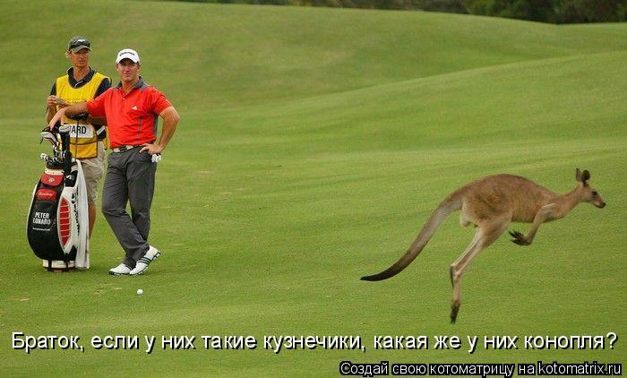 Котоматрица: Браток, если у них такие кузнечики, какая же у них конопля?