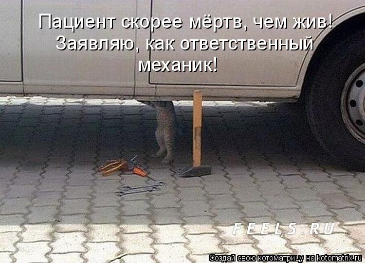 Пациент скорее мёртв, чем жив! Заявляю, как ответственный механик!... Котоматрица: Пациент скорее мёртв, чем жив! Заявляю, как ответственный механик!