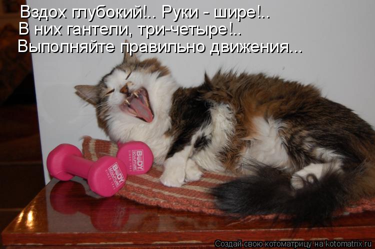 Котоматрица: Вздох глубокий!.. Руки - шире!.. В них гантели, три-четыре!.. Выполняйте правильно движения...
