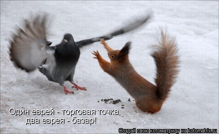 Котоматрица: Один еврей - торговая точка, два еврея - базар!