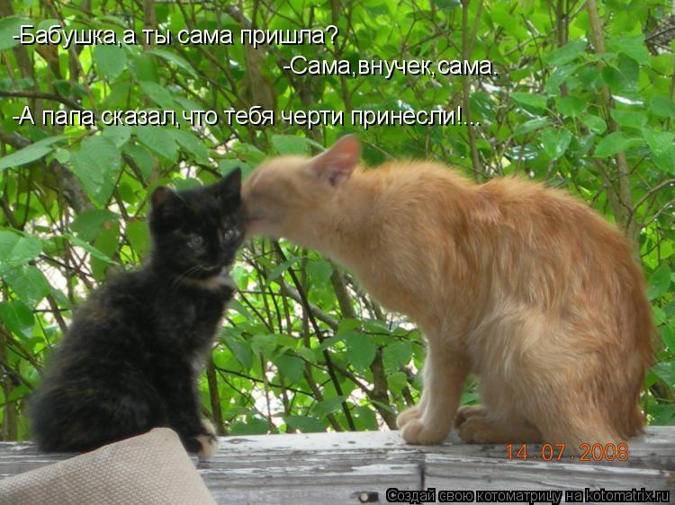 Котоматрица: -Бабушка,а ты сама пришла? -Сама,внучек,сама. -А папа сказал,что тебя черти принесли!...