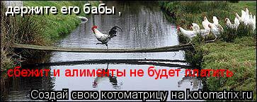 Котоматрица: держите его бабы , сбежит и алименты не будет платить