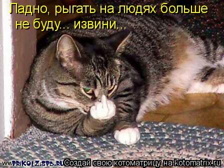 Котоматрица: Ладно, рыгать на людях больше не буду... извини...