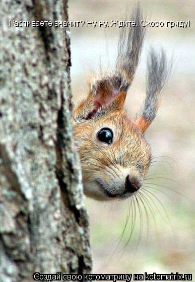 Котоматрица: Распиваете значит? Ну-ну. Ждите. Скоро приду!