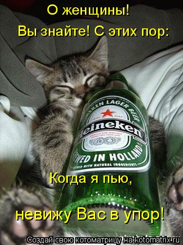 Котоматрица: Когда я пью, невижу Вас в упор! О женщины! Вы знайте! С этих пор: