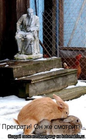 Котоматрица: Прекрати! Он же смотрит!