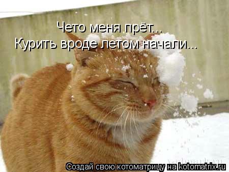 Котоматрица: Чето меня прёт... Чето меня прёт... Курить вроде летом начали...