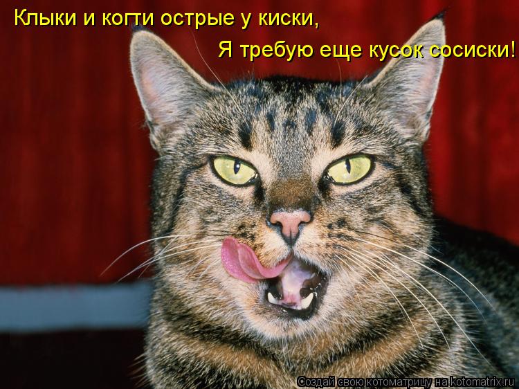 Клыки и когти острые у киски, Я требую еще кусок сосиски!... Котоматрица: Клыки и когти острые у киски, Я требую еще кусок сосиски!