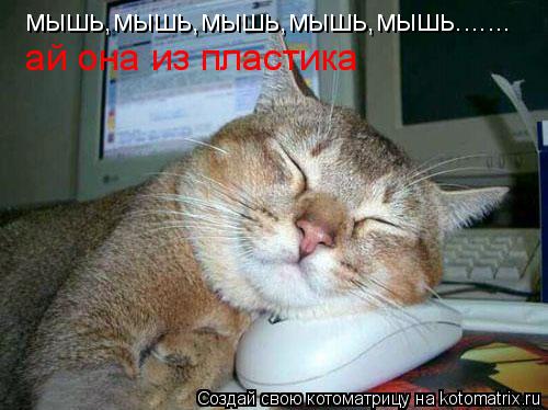 Котоматрица: мышь,мышь,мышь,мышь,мышь....... ай она из пластика