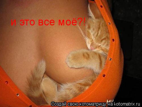 Котоматрица: и это все моё?!