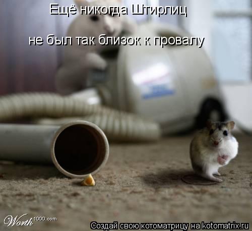 Котоматрица: Ещё никогда Штирлиц  не был так близок к провалу
