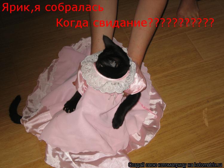Котоматрица: Ярик,я собралась Когда свидание???????????