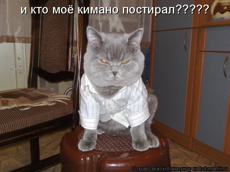 Котоматрица: и кто моё кимано постирал?????