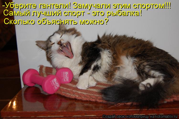 Котоматрица: -Уберите гантели! Замучали этим спортом!!! Самый лучший спорт - это рыбалка! Сколько объяснять можно?