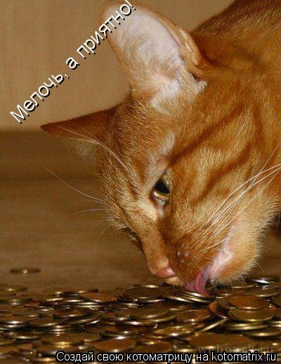 Котоматрица: Мелочь, а приятно!