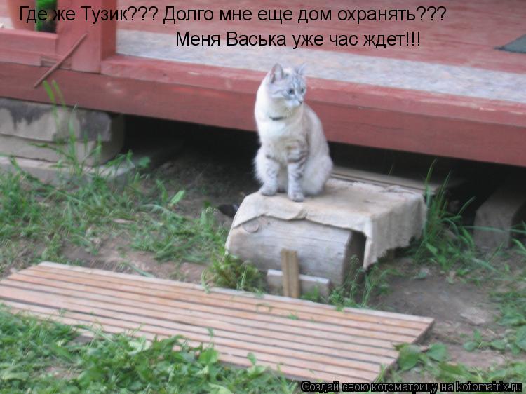 Котоматрица: Где же Тузик??? Долго мне еще дом охранять??? Меня Васька уже час ждет!!!