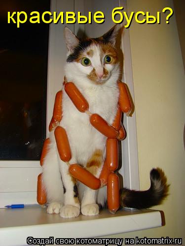 Котоматрица: красивые бусы?