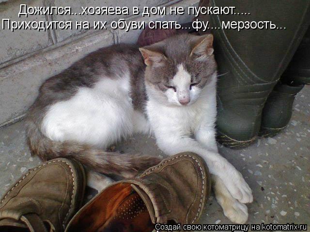 Дожился...хозяева в дом не пускают..... Приходится на их обуви спать...фу....мерзость...... Котоматрица: Дожился...хозяева в дом не пускают..... Приходится на их обуви спать...фу....мерзость...