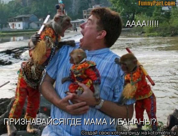 Котоматрица: ПРИЗНАВАЙСЯ!ГДЕ МАМА И БАНАНЫ? АААА!!!!!