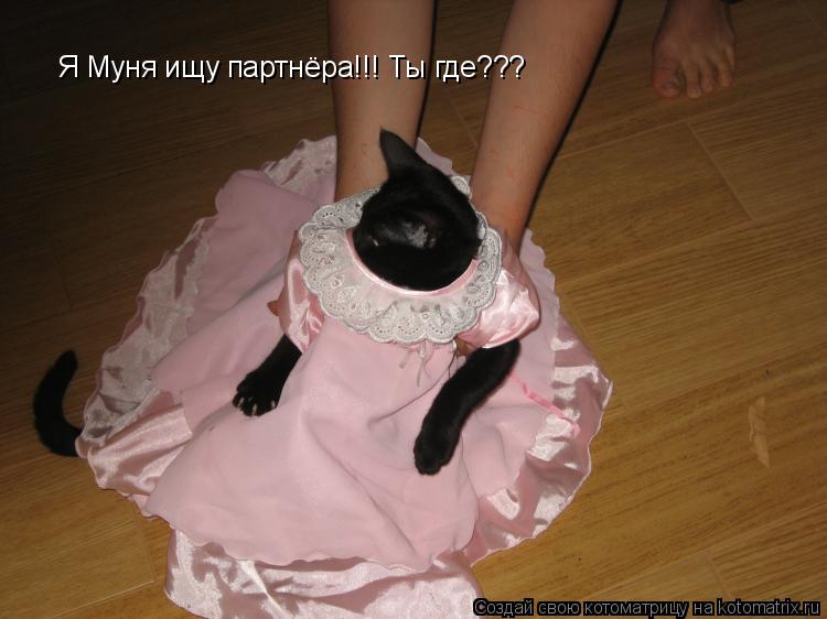 Котоматрица: Я Муня ищу партнёра!!! Ты где???