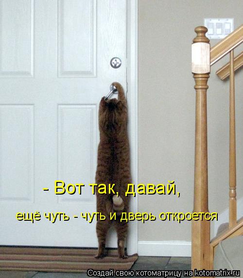 Котоматрица: - Вот так, давай,  ещё чуть - чуть и дверь откроется