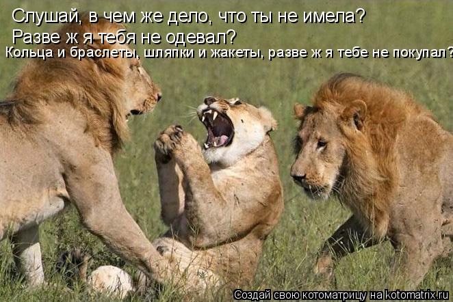 Котоматрица: Слушай, в чем же дело, что ты не имела?  Разве ж я тебя не одевал?  Кольца и браслеты, шляпки и жакеты, разве ж я тебе не покупал?