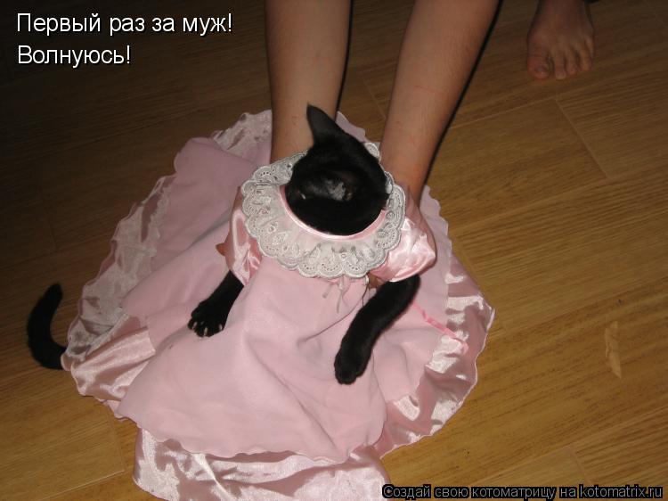 Котоматрица: Первый раз за муж!  Волнуюсь!