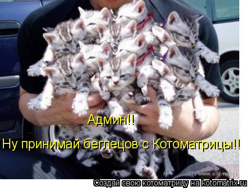 Котоматрица: Ну принимай беглецов с Котоматрицы!! Админ!!