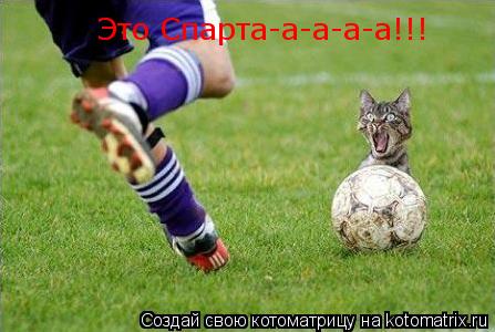 Котоматрица: Это Спарта-а-а-а-а!!!