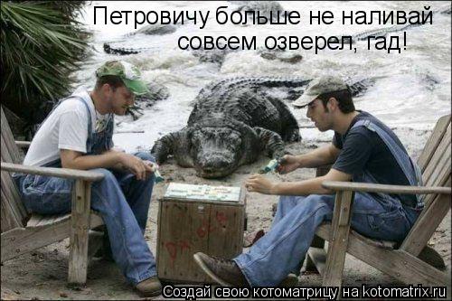 Котоматрица: Петровичу больше не наливай совсем озверел, гад!