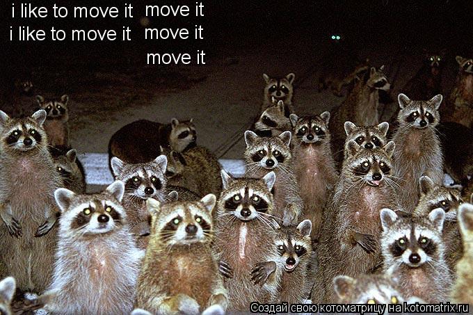 Котоматрица: i like to move it i like to move it move it move it move it