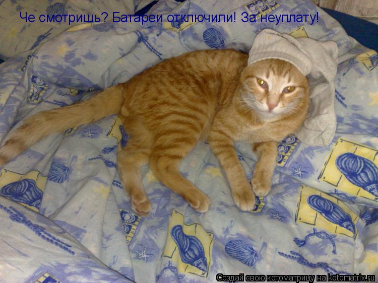 Котоматрица: Че смотришь? Батареи отключили! За неуплату!