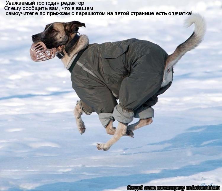 Котоматрица: Уважаемый господин редактор!  Спешу сообщить вам, что в вашем   самоучителе по прыжкам с парашютом на пятой странице есть опечатка!