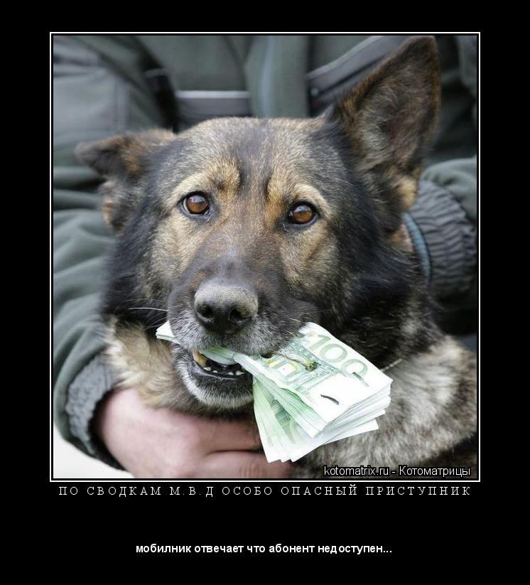 Котоматрица: П О   С В О Д К А М   М . В . Д   О С О Б О   О П А С Н Ы Й   П Р И С Т У П Н И К 