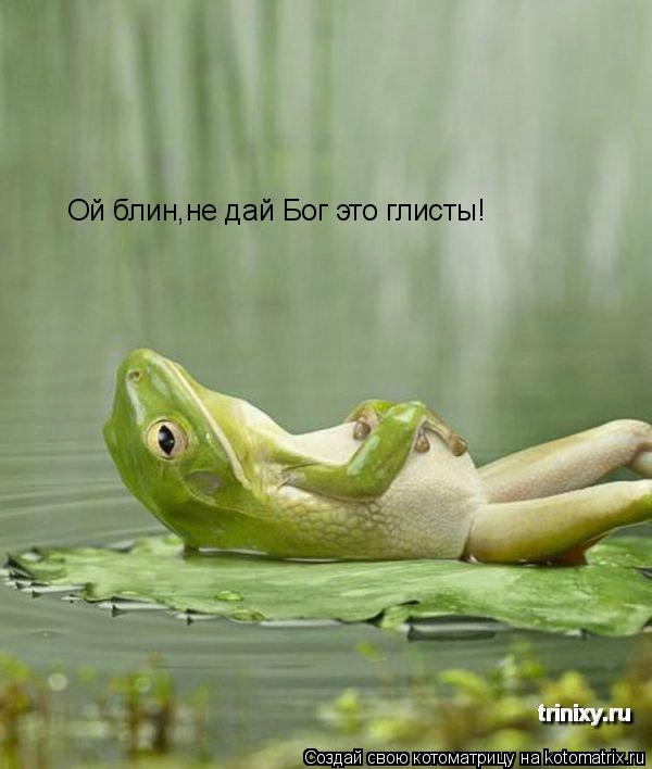 Котоматрица: Ой блин,не дай Бог это глисты!