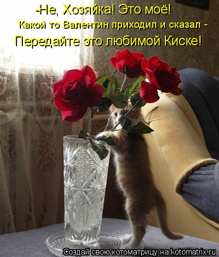 -Не, Хозяйка! Это моё! Какой то Валентин приходил и сказал - Передайте это любимой Киске!... Котоматрица: -Не, Хозяйка! Это моё! Какой то Валентин приходил и сказал - Передайте это любимой Киске!