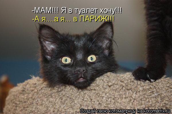 Котоматрица: -МАМ!!! Я в туалет хочу!!! -А я....а я... в ПАРИЖ!!!
