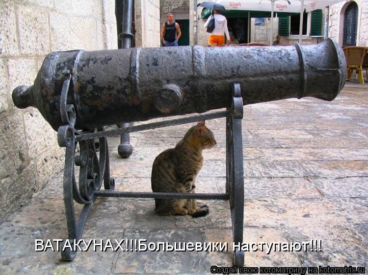 Котоматрица: ВАТАКУНАХ!!!Большевики наступают!!!