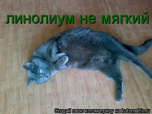 Котоматрица: линолиум не мягкий