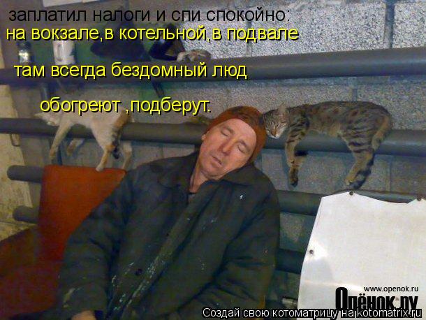 Котоматрица: заплатил налоги и спи спокойно: на вокзале,в котельной,в подвале там всегда бездомный люд обогреют ,подберут.