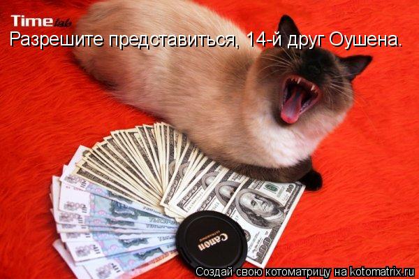Котоматрица: Разрешите представиться, 14-й друг Оушена.