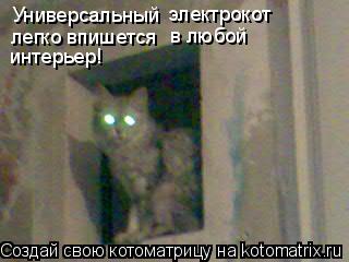 Котоматрица: Универсальный   электрокот  легко впишется  в любой  интерьер!