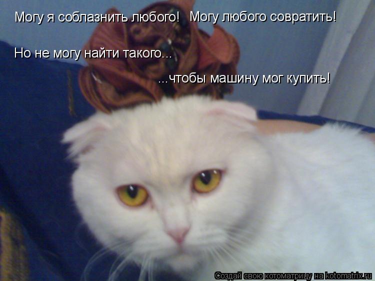 Котоматрица: Могу я соблазнить любого! Могу любого совратить! Но не могу найти такого... ...чтобы машину мог купить!